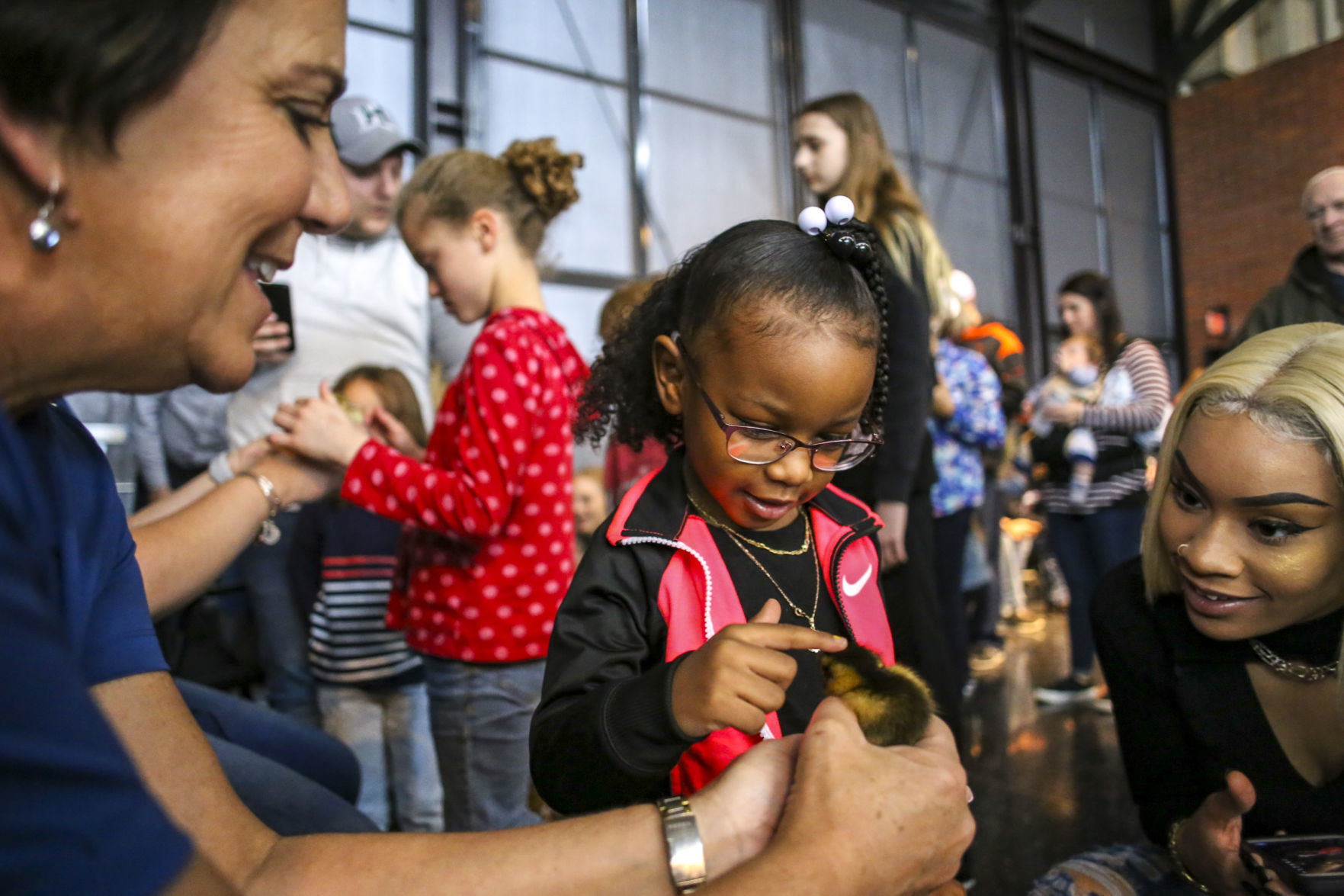041419-mda-nws-ducks-009
